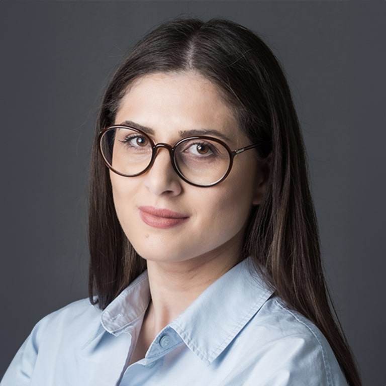 Das SEG Team - Grigorian Ani